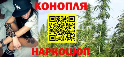 сатива Краснокаменск