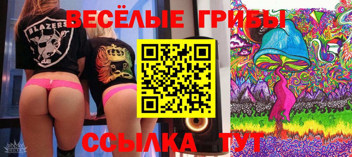 Кохма  наркота  Псилоцибиновые грибы MAGIC MUSHROOMS  Вход с VPN  Галлюциногенные грибы прущие грибы 